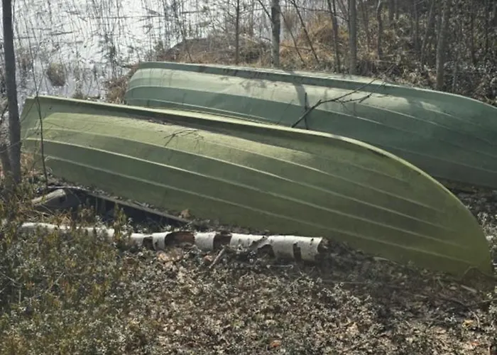 Kangassaari - The Kingdom Of Peace